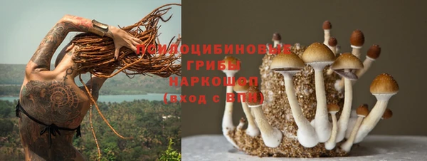 прущий лед Ладушкин