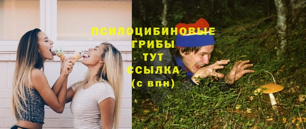 прущий лед Ладушкин