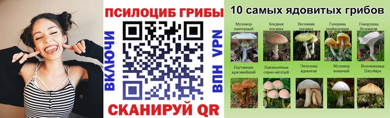Галлюциногенные грибы мицелий  где продают   Сычёвка 